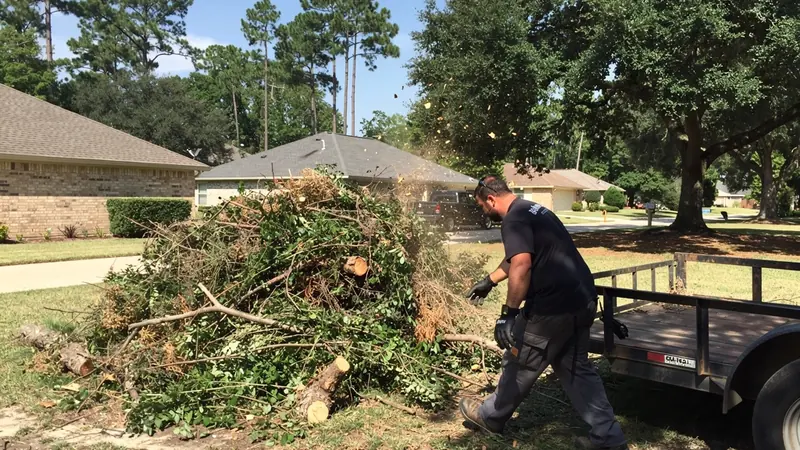 Brush Removal in Tomball, TX